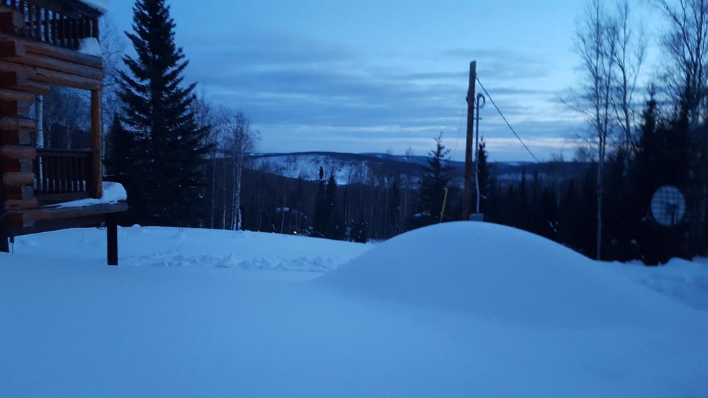 Wildmoon Home Fairbanks Bagian luar foto