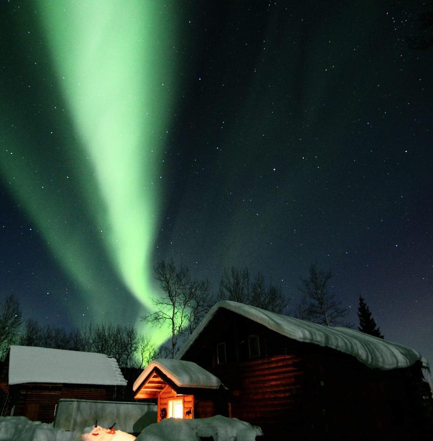 Wildmoon Home Fairbanks Bagian luar foto