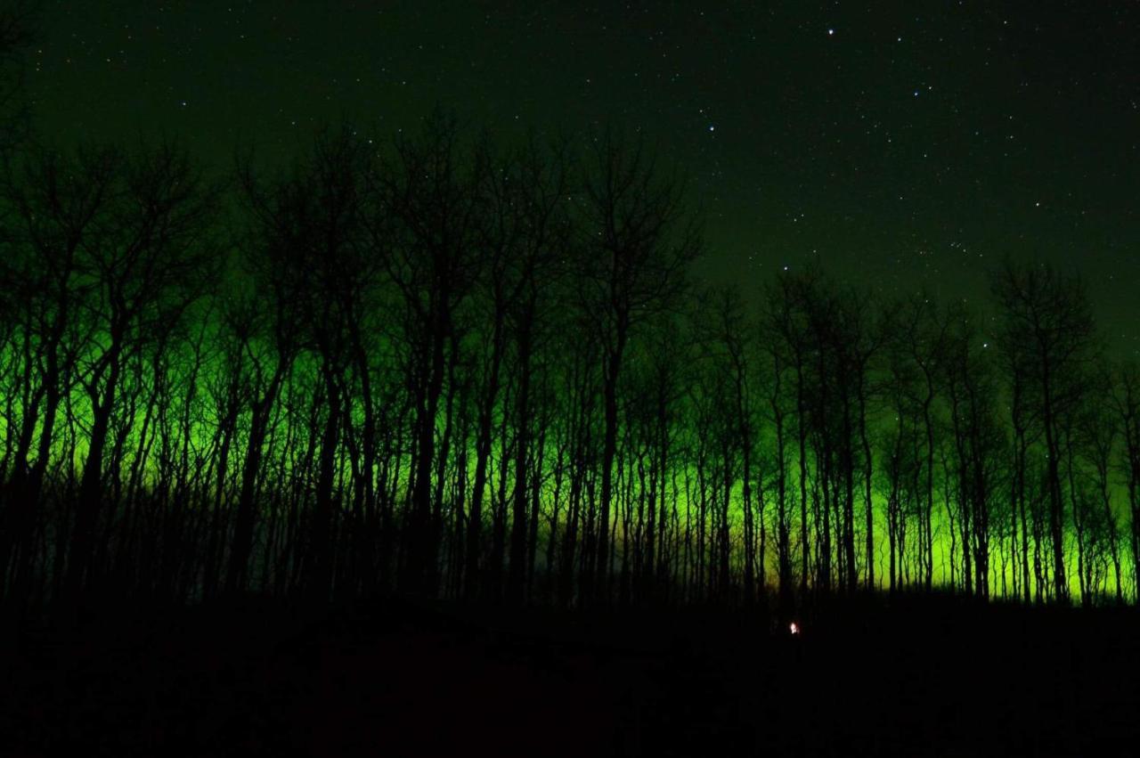 Wildmoon Home Fairbanks Bagian luar foto